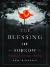 Cover image for The Blessing of Sorrow
